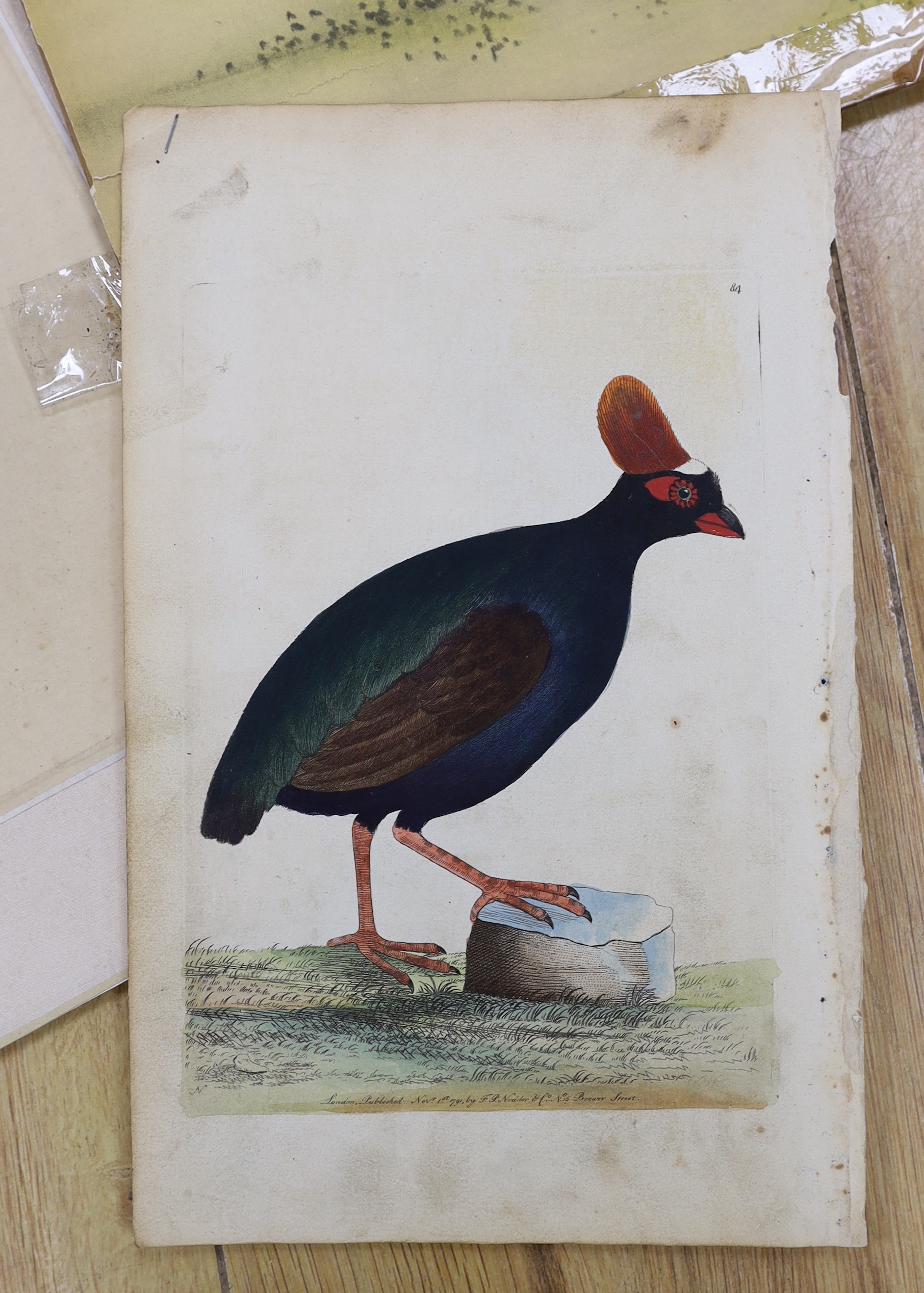 A group of unframed Chinese and Indian paintings and prints, including the Bengall Water Rail, flowers and figures, largest 49 x 40cm